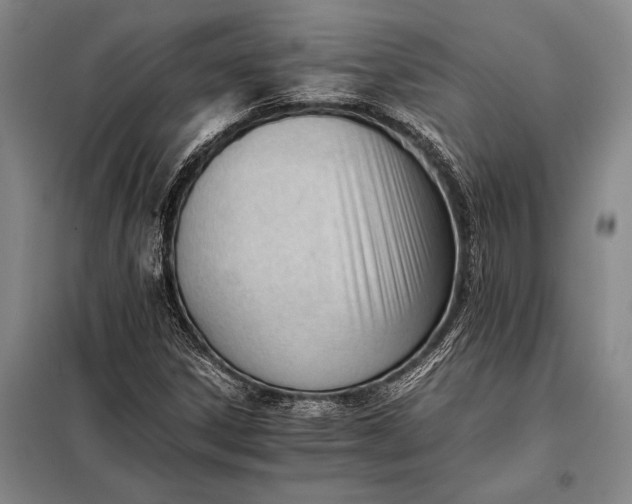 X0000098141306200805011334