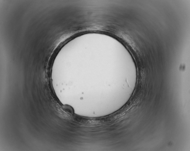 X0000098141308200805011334