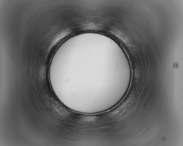 X0000098141309200805011334