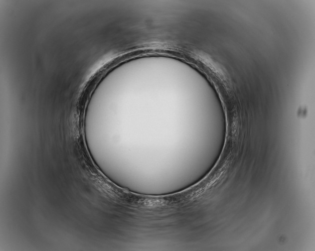 X0000098141310200805011334
