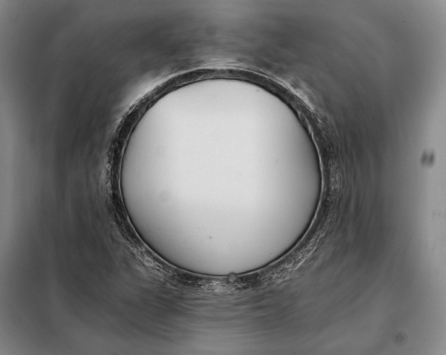 X0000098141311200805011335