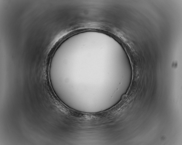 X0000098141312200805011335