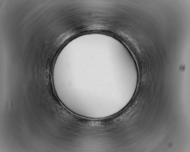 X0000098141313200805011335