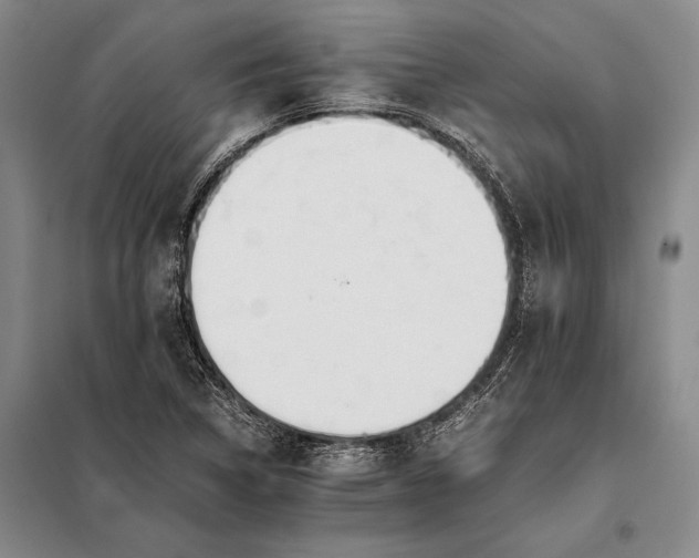 X0000098141314200805011335