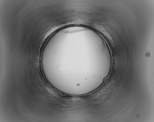 X0000098141316200805011335