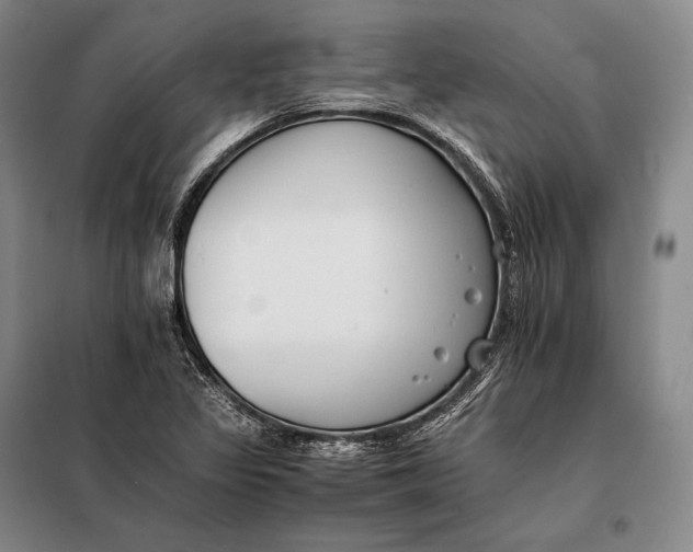 X0000098141317200805011335