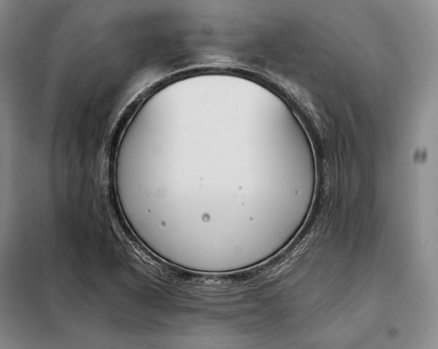 X0000098141318200805011335