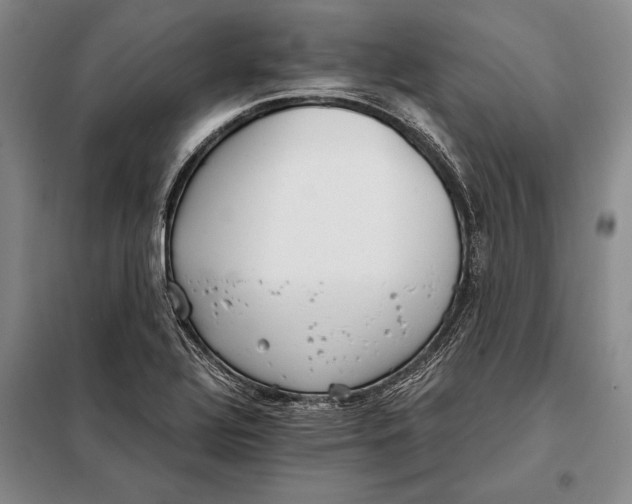 X0000098141320200805011335