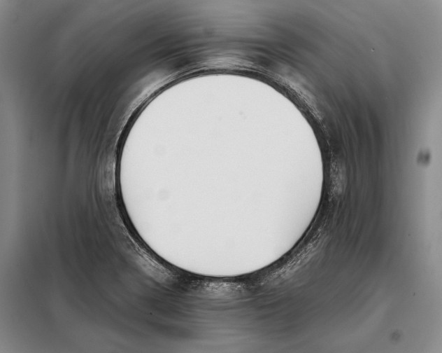 X0000098141322200805011335