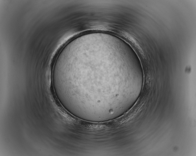 X0000098141323200805011335