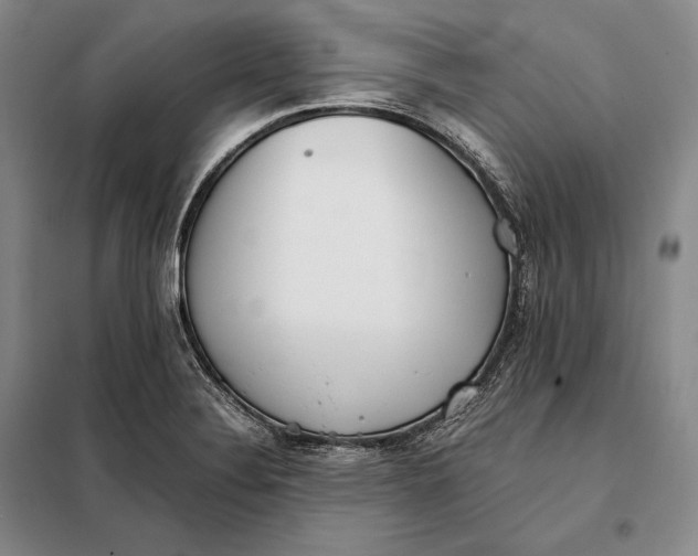 X0000098141324200805011335