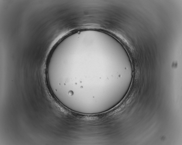 X0000098141325200805011335