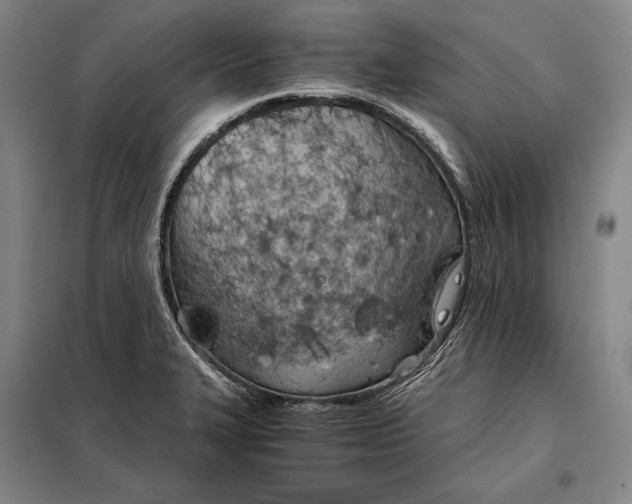 X0000098141327200805011335