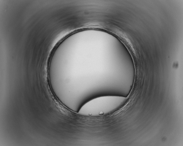 X0000098141328200805011335