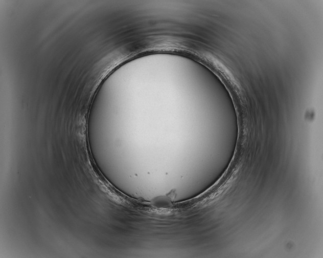 X0000098141329200805011335