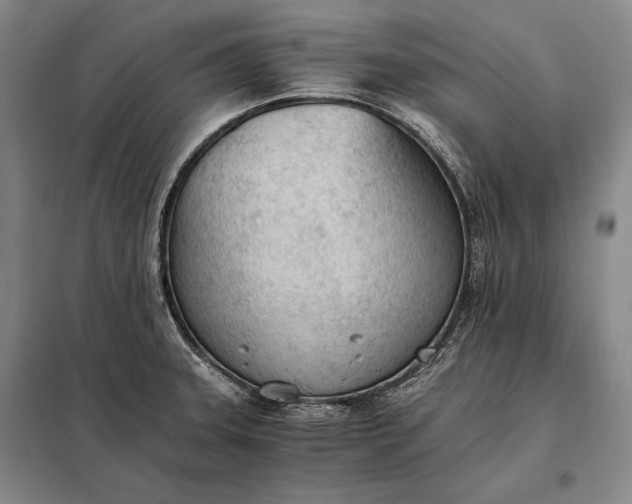 X0000098141331200805011335
