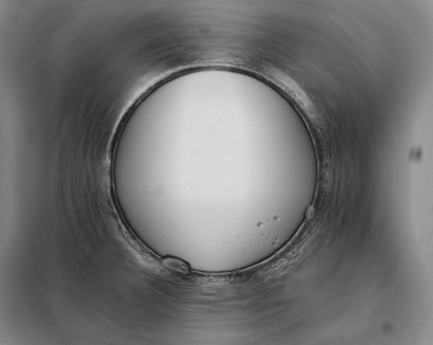 X0000098141332200805011335