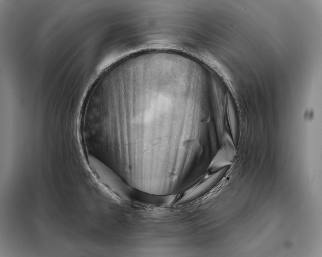 X0000098141334200805011335