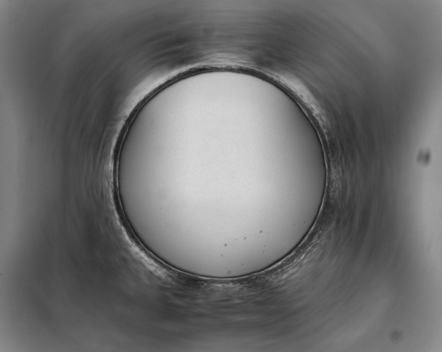 X0000098141335200805011335