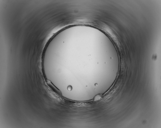 X0000098141336200805011335