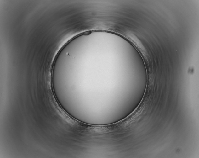 X0000098141340200805011335