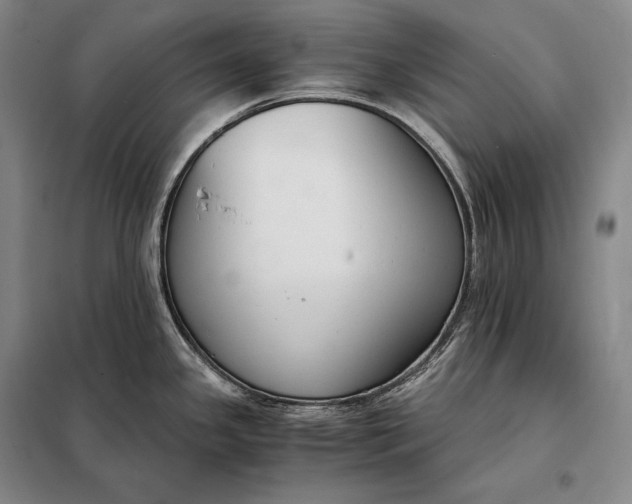 X0000098141341200805011335