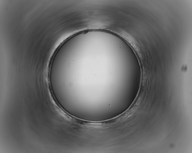 X0000098141342200805011335