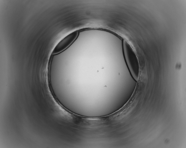 X0000098141343200805011335