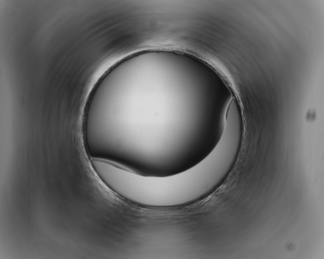 X0000098141344200805011335