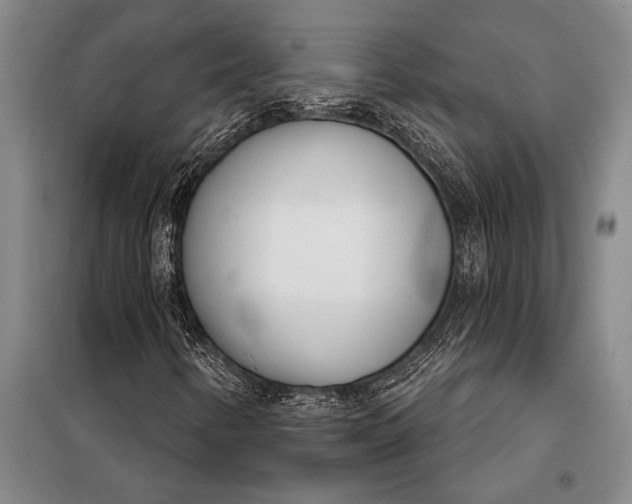 X0000098141346200805011334