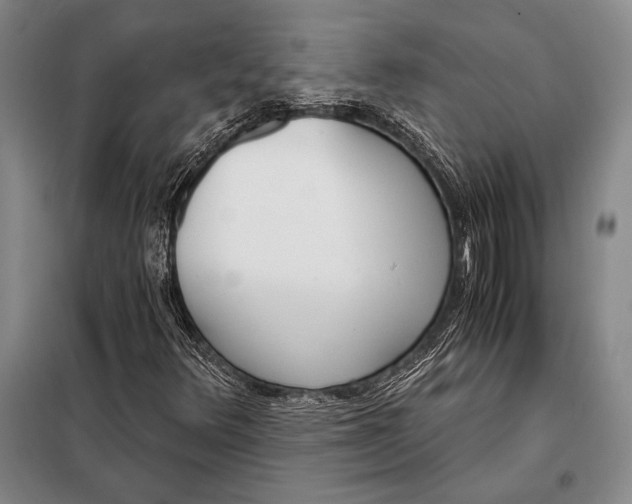 X0000098141348200805011334