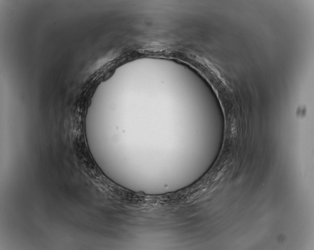 X0000098141350200805011334