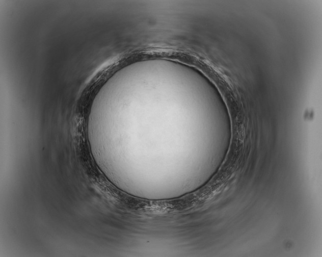 X0000098141351200805011334