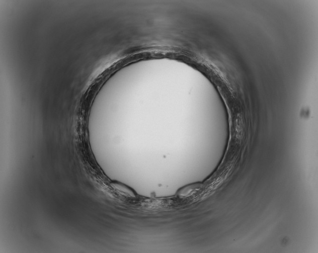 X0000098141352200805011334