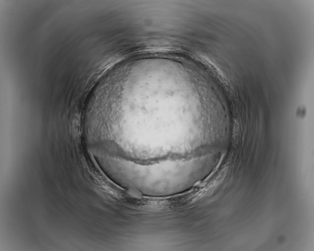 X0000098141353200805011334