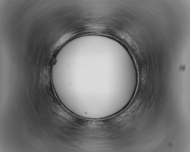 X0000098141354200805011334