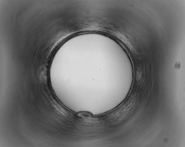 X0000098141356200805011334