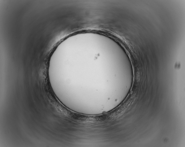 X0000098141359200805011334