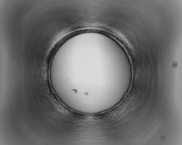 X0000098141360200805011334