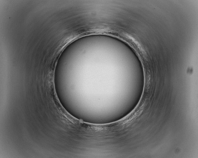 X0000098141361200805011334