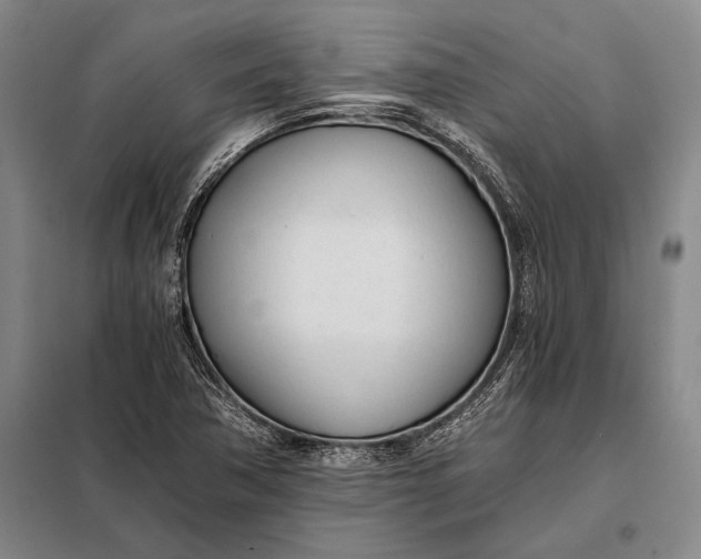 X0000098141362200805011334