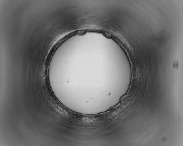 X0000098141364200805011334