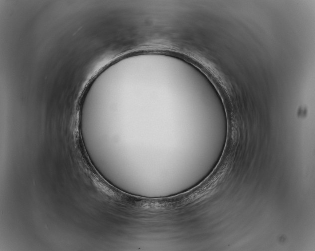 X0000098141366200805011334