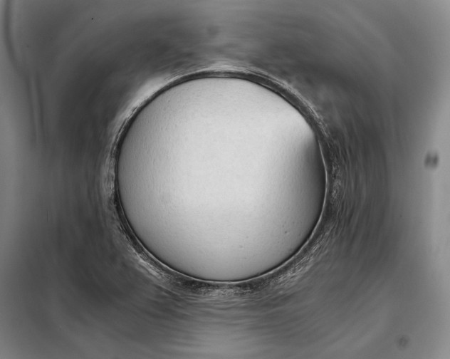 X0000098141367200805011334