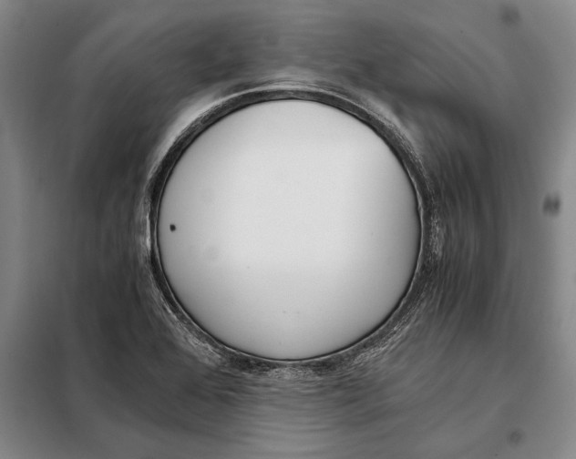 X0000098141368200805011334