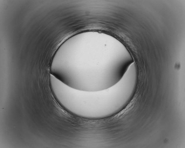 X0000098141369200805011334