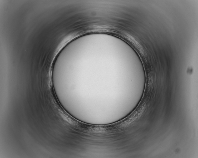 X0000098141370200805011334