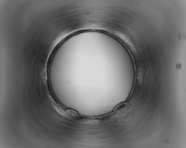 X0000098141372200805011334