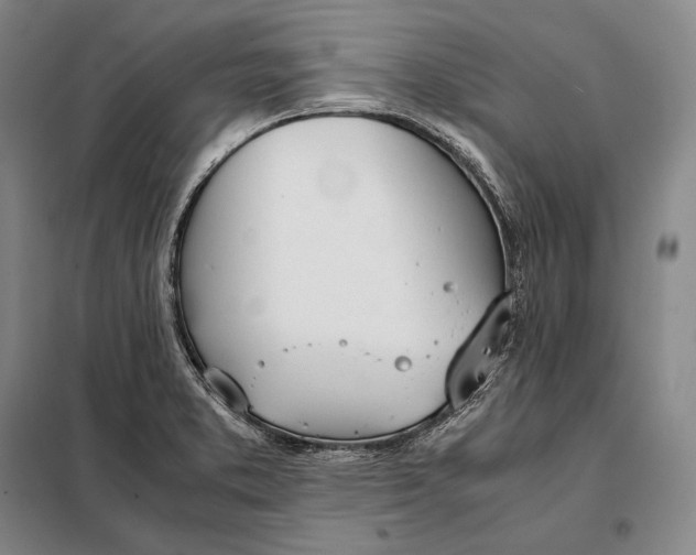 X0000098141373200805011334