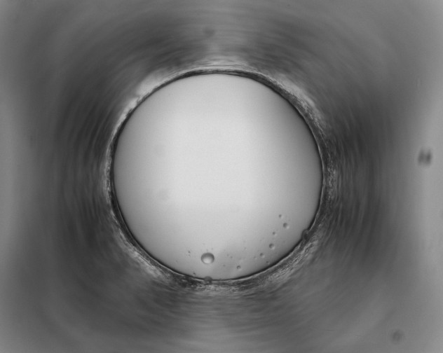 X0000098141374200805011334